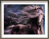 Windy Night Horse