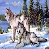 Two Wolves 5D Diamond Painting Kit