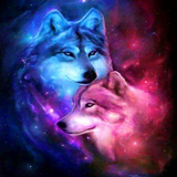 Wolves In Love 5D Diamond Painting Kit