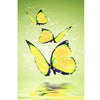 Yellow Butterflies