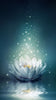 Sparkling Lotus 5D Diamond Painting Kit