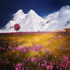 Snow Mountains 5D Diamond Painting Kit