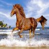 Chestnut Stallion 5D Diamond Painting Kit