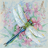 Pastel Dragonfly 5D Diamond Painting Kit