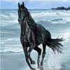 Running On The Beach 5D Diamond Painting Kit