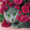 Hiding Cat 5D Diamond Painting Kit