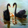 Black Swans 5D Diamond Painting Kit