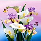 Calla Lilies With Dancing Butterflies 5D Diamond Painting Kit