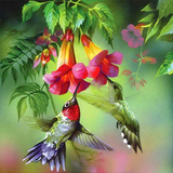 Ruby-throated Hummingbird 5D Diamond Painting Kit