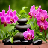 Dreaming Orchids 5D Diamond Painting Kit