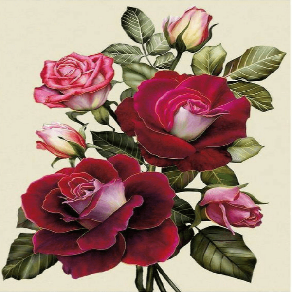 Lovely Roses Diamond Painting Kit with Free Shipping – 5D Diamond Paintings