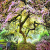 Japanise Forest 5D Diamond Painting Kit