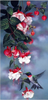 Hummingbird Visiting Fuchsia 5D Diamond Painting Kit