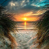 Trail To The Beach 5D Diamond Painting Kit