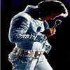 Elvis On The Stage 5D Diamond Painting Kit