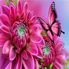 Pink Temptation 5D Diamond Painting Kit