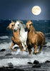 Moon Gallop Trio 5D Diamond Painting Kit