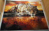 Thirsty Leopard 5D Diamond painting kit