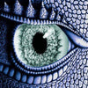 Dragon Eye 5D Diamond Painting Kit