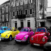 Colorful Beetles 5D Diamond Painting Kit