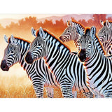 Evening Zebras 5D Diamond Painting Kit