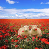 Poppy Field Fellows 5D Diamond Painting Kit