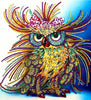 Grumpy Owl Crystal Rhinestones