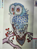 Blue Owl Special Shaped Diamonds