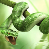 Green Snake 5D Diamond Painting Kit