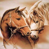 Horse Friends 5D Diamond Painting Kit