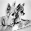 Curious Chihuahuas 5D Diamond Painting Kit