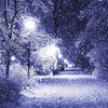 Snowfall Park 5D Diamond Painting Kit