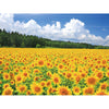 Sunflower Field 5D Diamond Painting Kit