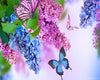 Lilac Butterflies 5D Diamond Painting Kit