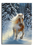 Snow Horse 5D Diamond Painting Kit