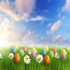 Easter Field 5D Diamond Painting Kit