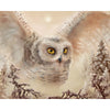 Winter Owl 5D Diamond Painting Kit