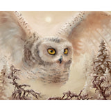 Winter Owl 5D Diamond Painting Kit