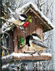 Winter Bird House