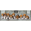 Beagle Puppy Panorama 5D Diamond Painting Kit