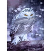 White Owl's Feather 5D Diamond Painting Kit