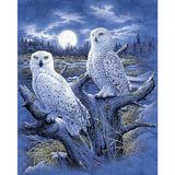 Night Swamp Owls 5D Diamond Painting Kit