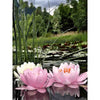 Lotus Pond 5D Diamond Painting Kit