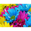 Color Trio Flowers 5D Diamond Painting Kit