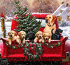 Winter Christmas with Puppies