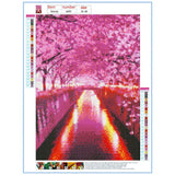 Cherry Blossoms - 4 Pack