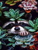 Raccoon Portrait