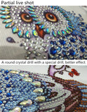 Blue Owl Special Shaped Diamonds