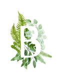 Green Plant Letter