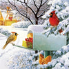 Birds in Snow